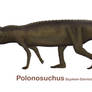 Polonosuchus 2018