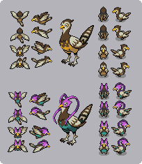 Pokemon - Unfezant overworlds shiny