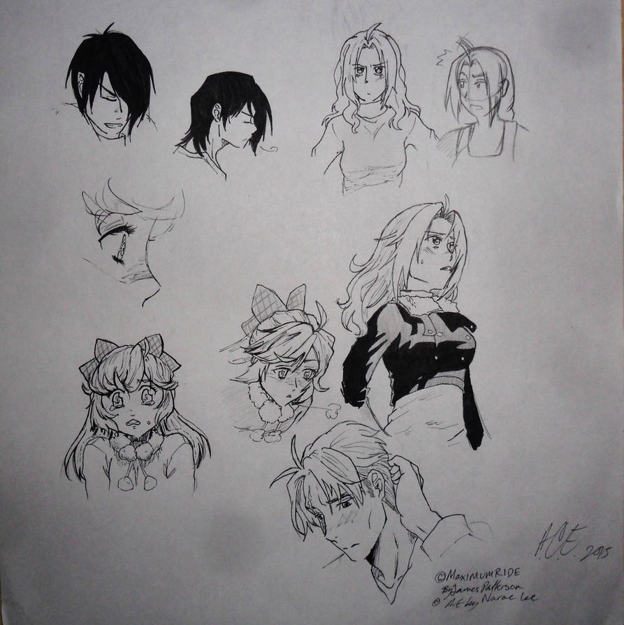 Maximum Ride Total Drawing Maximum Ride sketches by swiftdreamer15 on DeviantArt