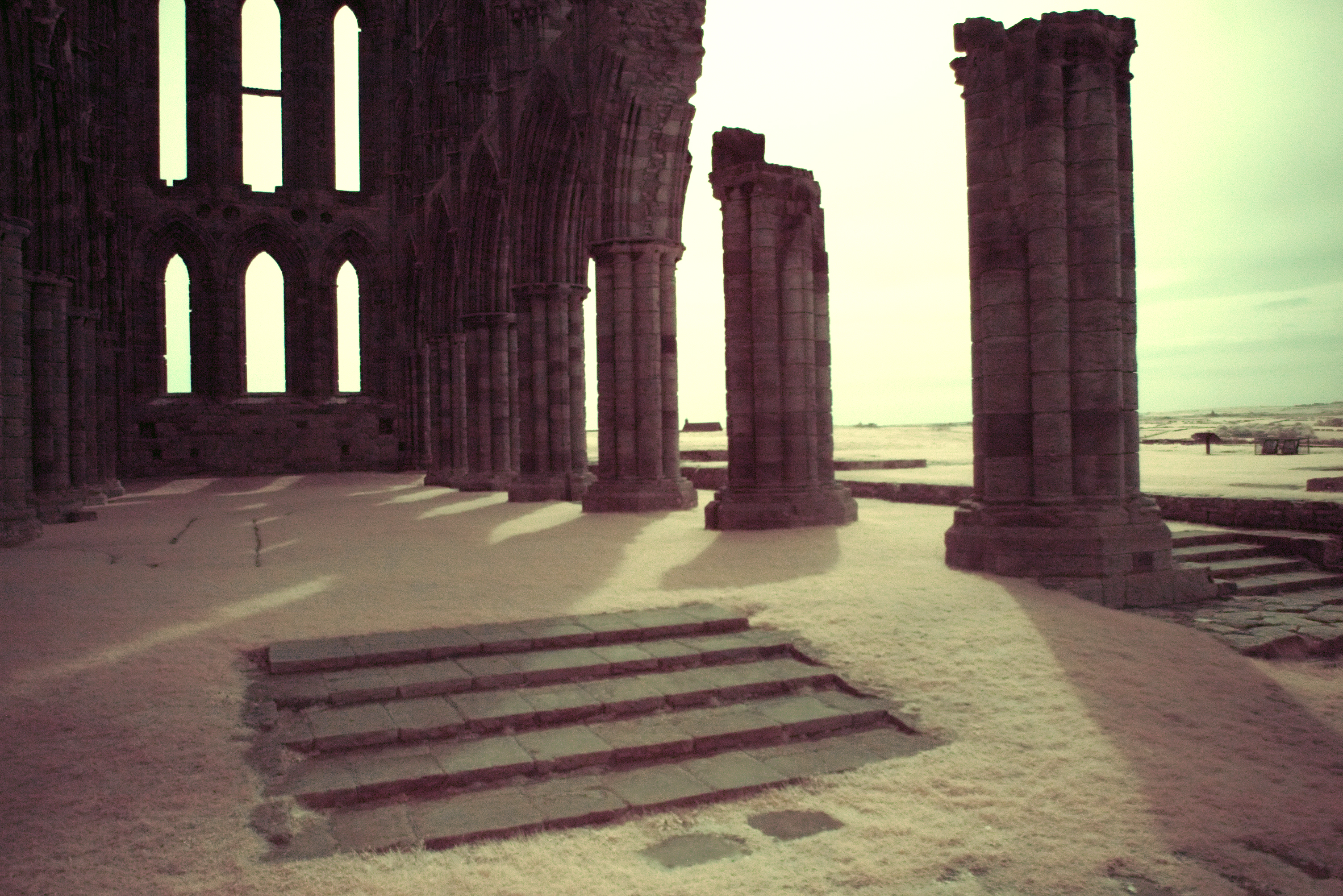 Ruins of Whitby Abbey