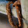 Rusted Chain