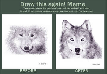 Improvement Meme: Wolf