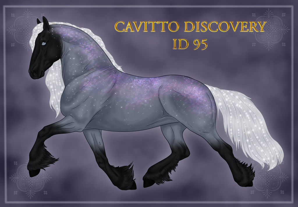 Cavitto Discovery ID 95