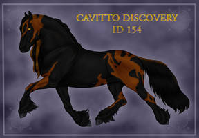 Cavitto Custom Discovery ID 154