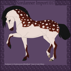 1017 Group Horse Import