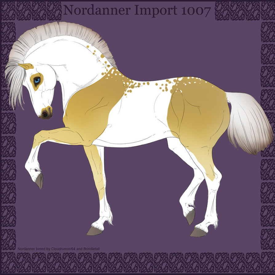 1007 Group Horse Import