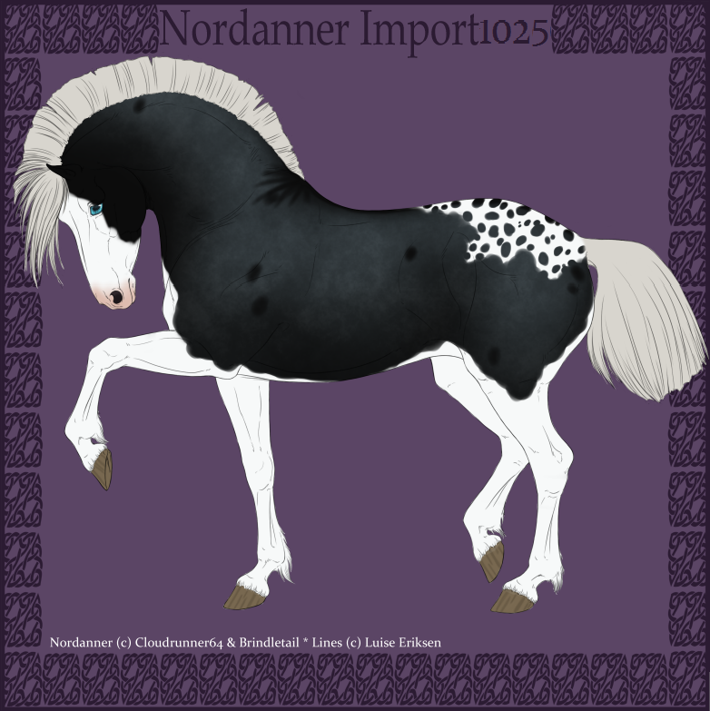 1025 Group Horse Import