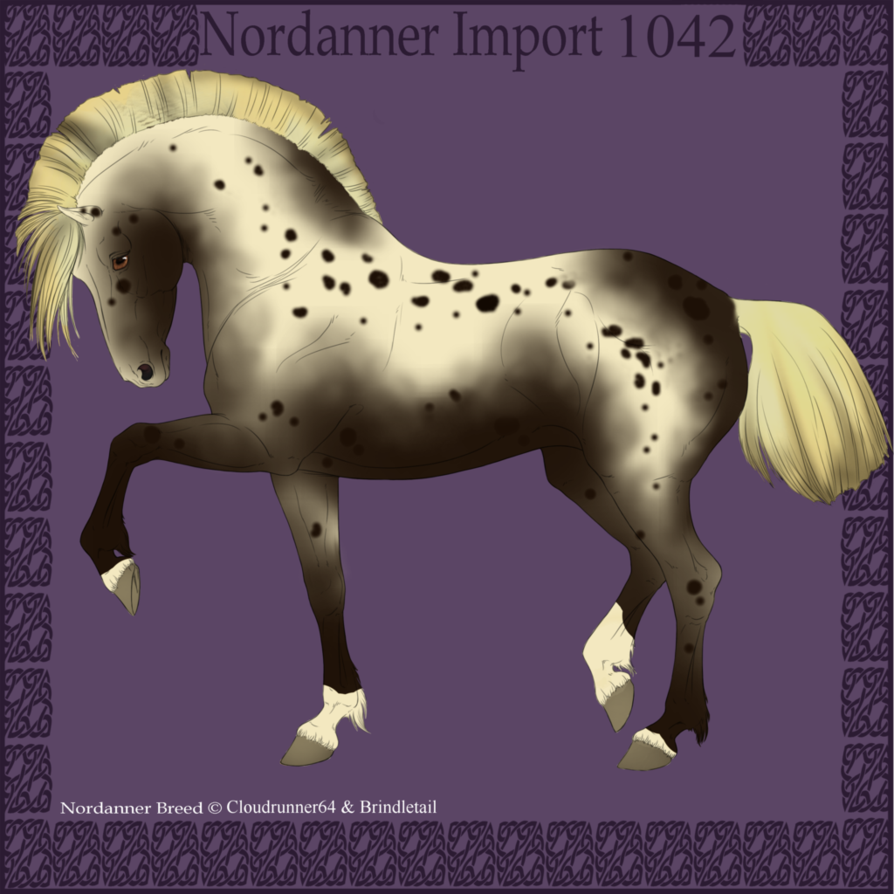 1042 Group Horse Import