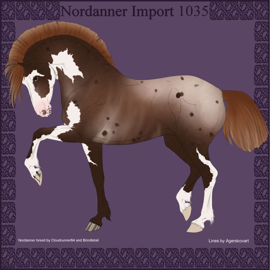 1035 Group Horse Import