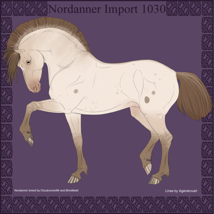 1030 Group Horse Import