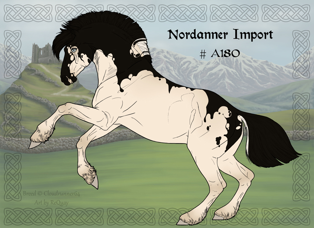 Nordanner Group Horse Import A180