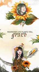 Wherever life plants you, bloom with grace - Eunji