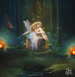 Lonely Fairy