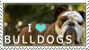 Bulldog Stamp by chinarose93