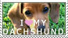 Dachshund Stamp by chinarose93