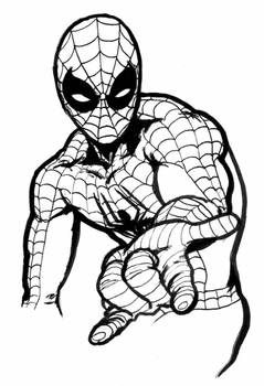 Spider-man Sketch