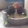 Miniature Koi Fountain