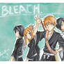 Bleach: It's Clorox.