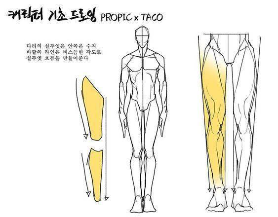 Character Design Muscles Rotation Character design by wolfwalker345 on DeviantArt
