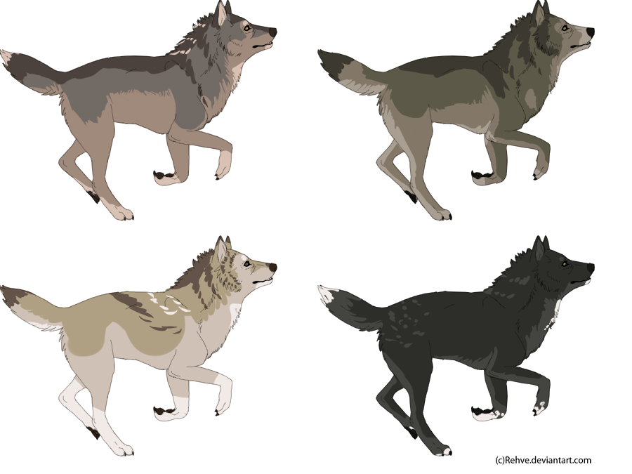 Wolf Adoptables CLOSED