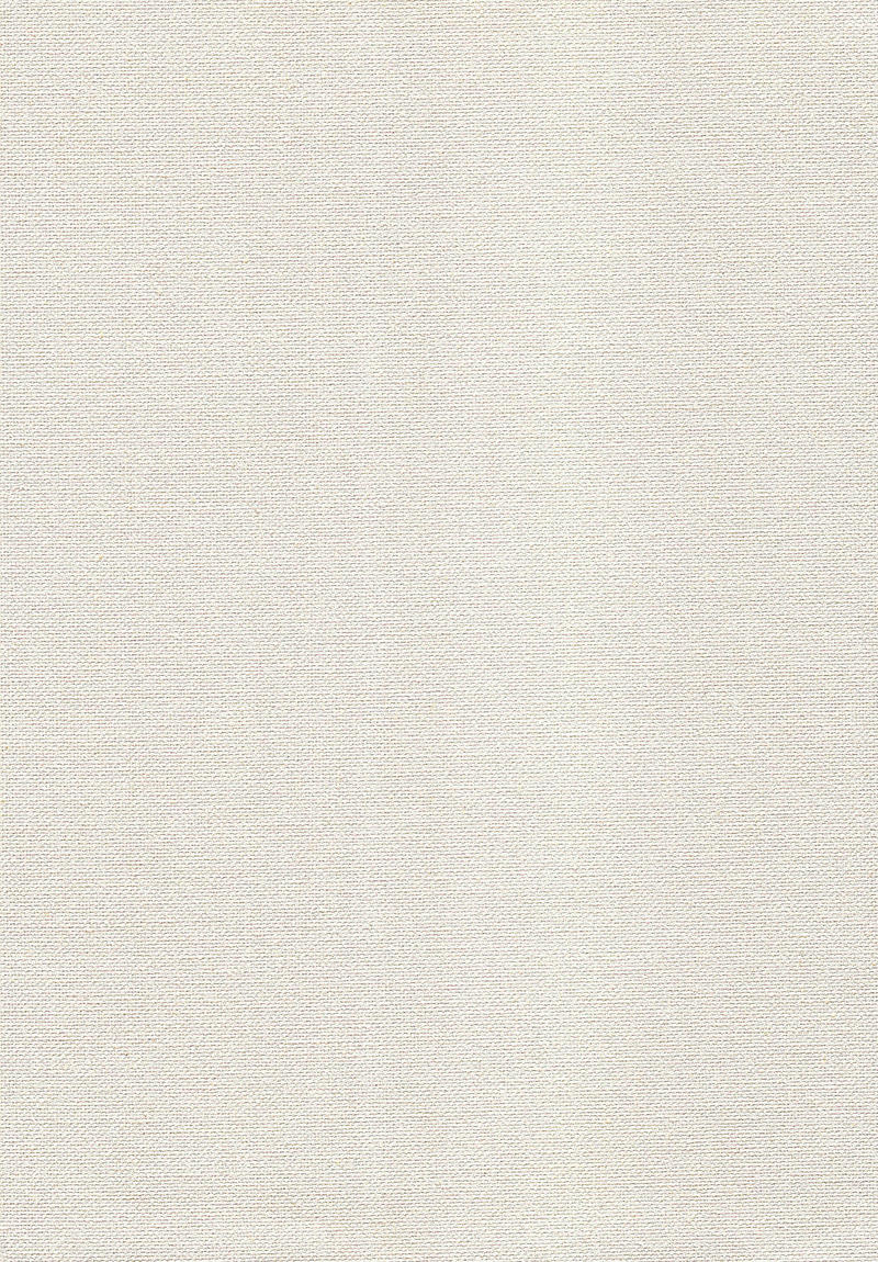 Canvas Texture