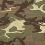 Army Paper Texture