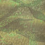 Green Grunge Paper Texture