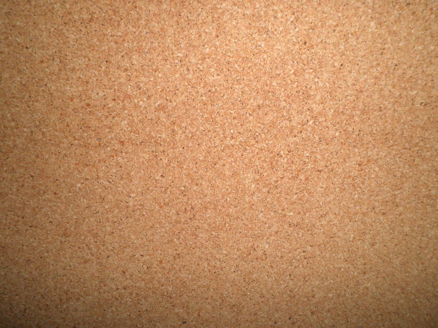 Corkboard Texture