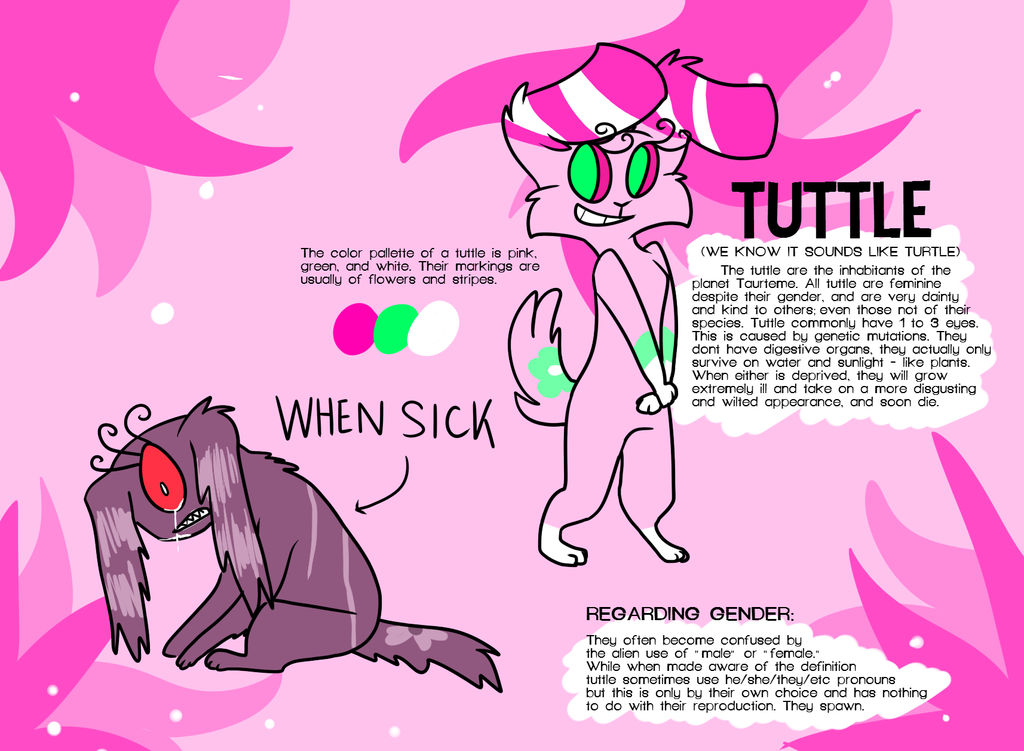 Tuttle Raccoon Tuttle Species Ref by kneeby on DeviantArt
