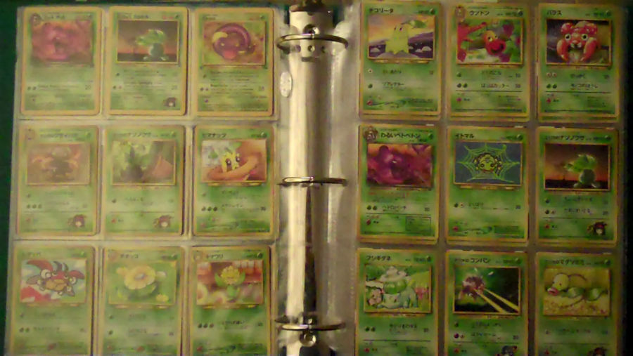 POKEMON CARD CATALOG 2 314111D by impostergir007 on DeviantArt