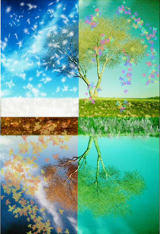 Tree in Four Seasons