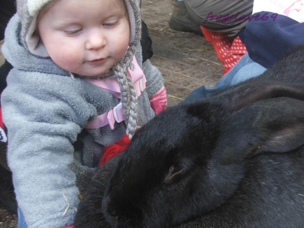 Raine meet the big bunny