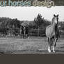 Four Horses Design