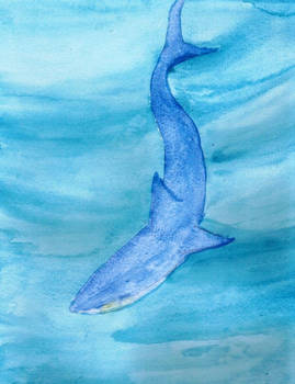 Watercolor Shark