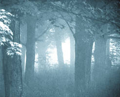 Premade Background 231