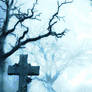 Premade Background 698