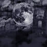 Premade Background 843