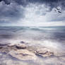 Premade Background 974