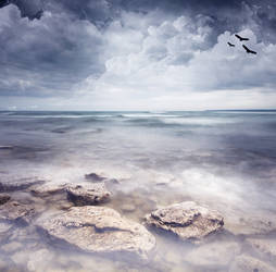 Premade Background  974