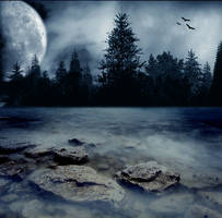 Premade Background  981