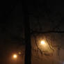 Foggy Night 4