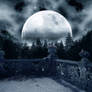 Premade Background 1162