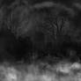 Premade Background 1200