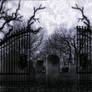 Premade Background 1384