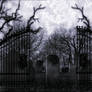 Premade Background 1384