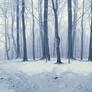 Premade Background 1439