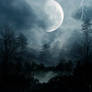 Premade Background 1463