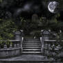 Premade Background 1437