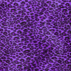 AshenSorrowStock-PurpleCheetah