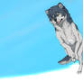 Ame